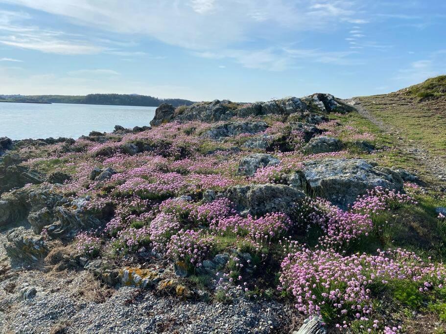 Entire Guest Suite In Four Mile Bridge, Rhoscolyn Valley Exterior foto